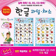 [DVD] 누가누가 잘하나 양면학습벽보 - 한글 과일 / 채소