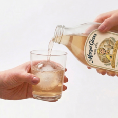메리엘글라스 생발효 유산균 다이어트 음료 장밸런스 저당설계, 9개, 500ml