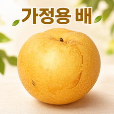 [최저가도전]초고당도 수분폭발 신선한 가정용 나주배, 1박스, 5kg