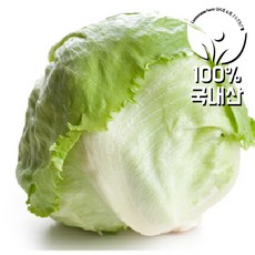 <컴팜>양상추 6입/BOX 무료배송(양배추 조합 가능), 양상추 6입/BOX, 1.2kg