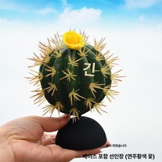 머스코 자동차 선인장모형 안테나 볼 장식용품, 연주황 플라워 선인장 받침대 포함