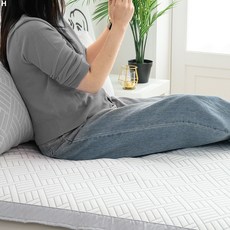 아이스맥스, 그레이