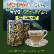 참나무 겨우살이(곡기생) [항암 면역력 고혈압 당뇨 관절염 신장 간 건강 개선], 1개, 250g