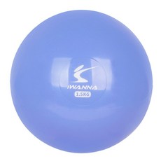 아이워너 마사지볼 웨이트볼 1.5kg (스위트라벤더) 웨이트볼 폼볼 스트레칭볼, 본품, 1개
