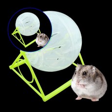 쌍문상회 햄스터헬스볼 놀이터 운동기구 쳇바퀴 볼 10cm 햄스터볼 햄스터운동기구 미니햄스터볼 햄스터운동볼 햄스터원형볼 햄스터쳇바퀴 햄스터쳇바퀴볼 햄스터운동 햄스터용품 40872EA, 1.거치형햄스터볼10cm