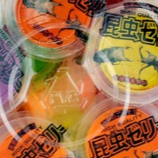 조은두리 곤충용 젤리