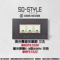 Panasonic 國際牌 SO-STYLE 霧面蓋板 螢光開關組 霧灰 220V, 1個, 3孔蓋板+開關