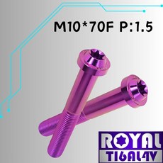 【瘋螺絲】ROYAL 鈦合金螺絲 M10*70F P:1.5 飛碟頭型螺絲 64鈦 出貨附發票 皇家紫, 1個