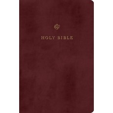 (영문도서)ESV Gift and Award Bible (Trutone Burgundy) Imitation Leather, Crossway, English, 9798874903510