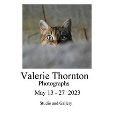(영문도서) Valerie Thornton Exhibition Paperback, Independently Published, English, 9798397831611