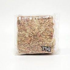 수태 소포장 압축 천연 이끼 몬스테라 호접란 풍란 난수태 칠레산, 칠레산_수태 75g, 3개