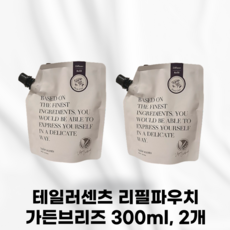 [본사정품] TAYLOR SCENTS 테일러센츠 리필 파우치 파우치타입 감성적인향기 오브제의 섬세함 프리미엄디퓨저 프래그런스무드 향기 퍼퓸 냄새 공간, 300ml, 2개