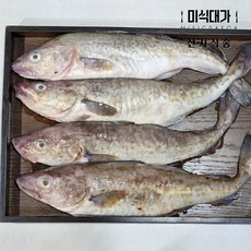 동해 삼척항 냉동 급냉 대구, 4개, 1.5kg(1-3미)