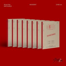 스트레이키즈 Stray Kids 앨범 MAXIDENT CASE ver. 맥시던트 케이스 멤버선택, 현진