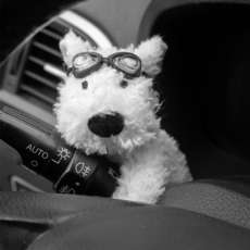 와이퍼 깜박이 인형 차인테리어 차량인형 악세사리, 1개, 6.흰둥이