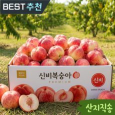 [초초초특가] 산지직송 초고당도 신비 복숭아, 1박스, 신비 복숭아 1kg 중소과