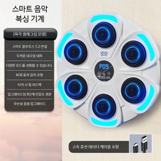 복싱 샌드백 실내 전자 타격 표적 성인용 벽걸이형 반응 빠른 운동 훈련 장비, B_화이트