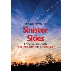(영문도서) Sinister Skies Paperback, Obelisk, English, 9789464611731