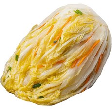 선화식품 더아삭김치 전라도 국내산 맛있는 백김치 물김치, 1개, 10kg