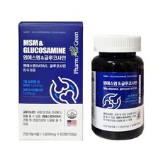 팜그린 엠에스엠 &amp; 글루코사민 1800mg x 60정, 1개, 1정
