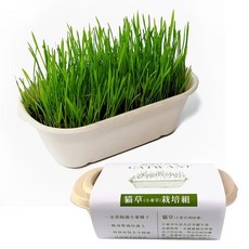 CATWANT 貓咪旺 小麥草種植組 腸道保健 貓草, 1個
