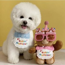 강아지 고양이 생일파티 케이프 꼬깔 모자 세트, 1세트, 블루