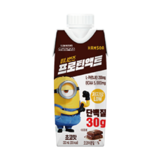 미니언즈 프로틴액트 초코맛, 24개, 330ml