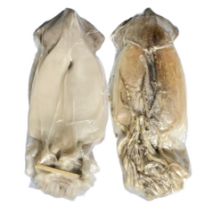 모두의안주 반건조오징어 피데기 10미 원양산 국내가공, 1개, 900g