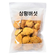형지표고버섯 국산 건조 말린 장수 상황버섯 150g, 1개