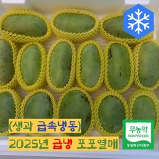 산지직송 국내산 친환경 포포 나무 열매 생과, 1박스, 1kg(중품6~7과)