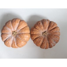 국내산 늙은호박 2kg, 1개