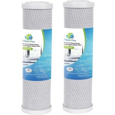 CFS - OptiPure CTOS-10 모델과 호환되는 2팩 카본 블록 워터 필터 카트리지 나쁜 맛 전체 가정용 교체 10인치 0.5마이크론