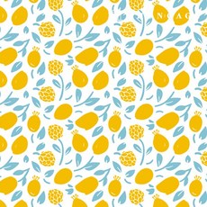 천가게 면원단 꽃무늬 플라워 체크원단 20수 빈티지 천 146종, 219) 허니레몬 191, 1개