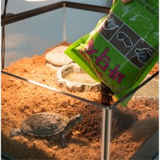 올데이픽 골프 퍼팅 홀컵 이동식홀컵