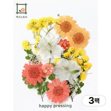 체크스토리 압화 컬러가든시리즈 누름꽃 꽃송이 압화재료 공예, 오렌지믹스14(3팩)