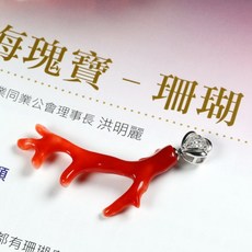 天磨Gka 天然特選紅珊瑚原枝項鍊 - 深海紅珊瑚，美麗珍藏, 1個