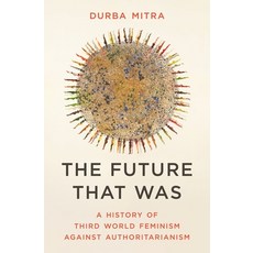 (영문도서)The Future That Was: A History of Third World Feminism Against Authoritarianism Hardcover, Princeton University Press, English, 9780691233604