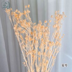 大好屋 永生刺芹乾燥花束 拍照道具 婚禮小物, 紫薊【蜜橙】大束