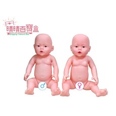 晴晴百寶盒 精緻娃娃（未穿衣）一套組 洗澡CPR母娃娃 兒童齒模 紗布衣 安全區必備包