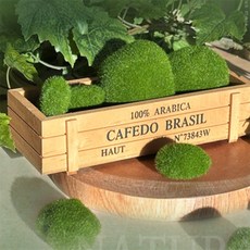 도도별 이끼돌장식 수반이끼장식