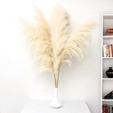 목화꽃다발 대형 건조 잔디 보호 웨딩 배치 장식 긴 깃털 갈대 표백 화이트, 10pcs, Beige