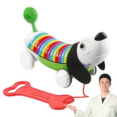 [립프로그] 알파벳 퍼피 9개월 돌 아기 장난감, 상세 설명 참조