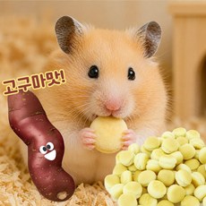 미니볼 비스켓 쿠키 고구마맛 햄스터 고슴도치 간식, 1개, 5g