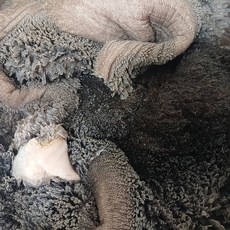 한우 양 1kg 생양 (냉동), 1개