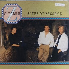 Geffen/GHS 24057 Vitamin Z: Rites of Passage AMG 四星, 1個