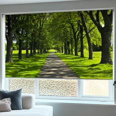 노엘리안 롤스크린 블라인드 사진풍경 거실 베란다 창문 실사 100종