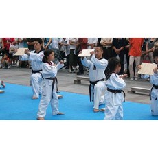 跆拳道/空手道 擊破用桐木板 (5片價), 原色, 1套