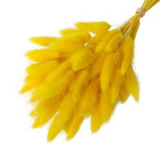 로맨틱노벰버 프리저브드 라그라스, 옐로우 50송이