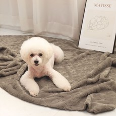 극세사 헤르메스 페이크퍼 테이블 인테리어 벨보아 부드러운원단 인조털퍼 포토카드 촬영용 털원단 18컬러 바느질감, 브라운, 1개