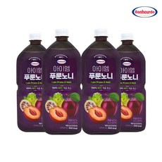 보넬드 아이엠 푸룬노니 100% NFC 착즙주스, 4개, 1L